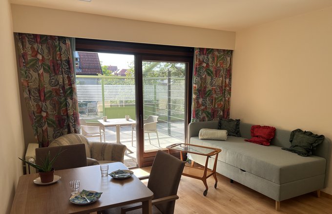 Mit Sofa, Tisch und Stühlen eingerichtetes Apartment