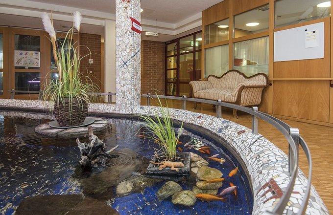 Fische im Brunnen, Foyer der Else-Heydlauf-Stiftung