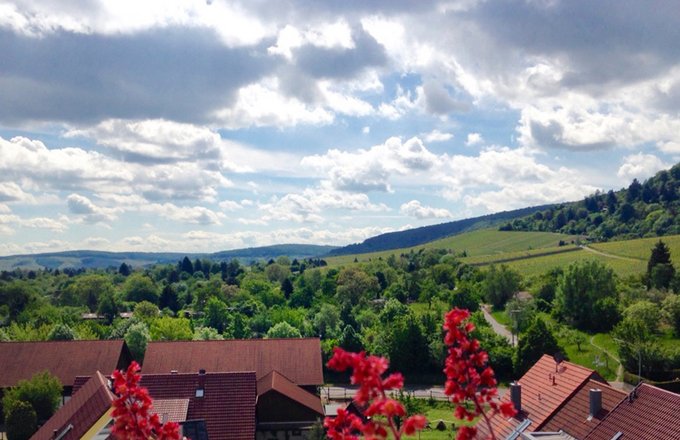 Umgebung des Haus am Kappelberg mit Häuserdächern und Weinbergen.