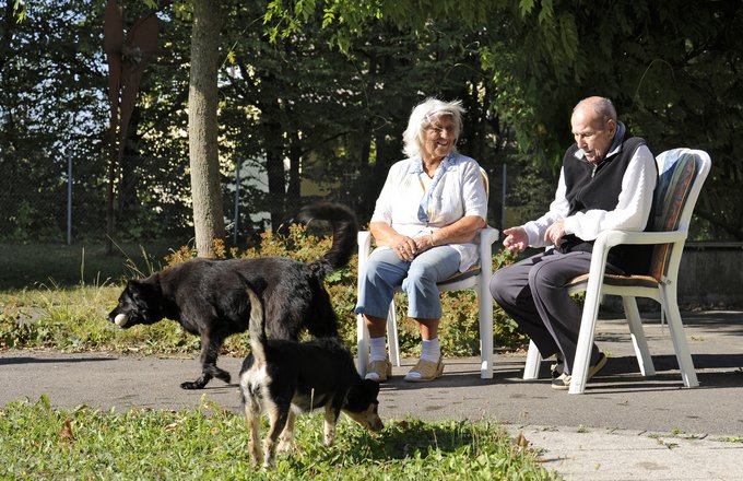 Zwei Senioren mit zwei Hunden im Garten